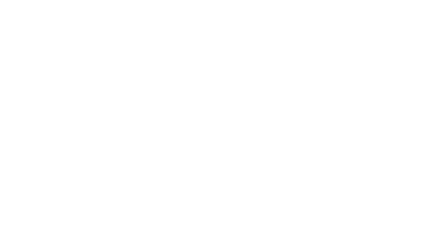 Chn Otomotiv